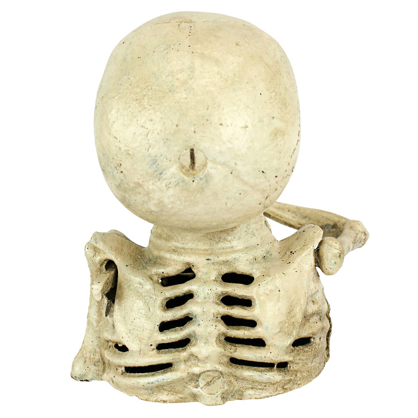 Delightful Skeleton Coin Bank With Bug Eyes